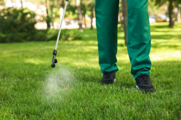 Best Wasp Removal Services  in Tama, IA