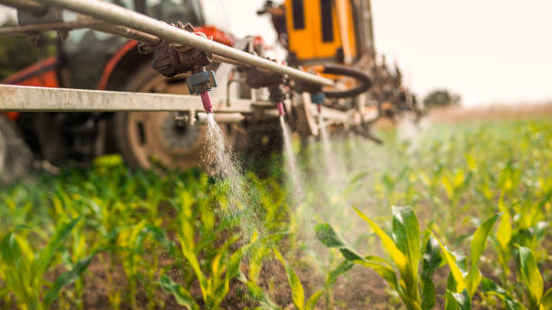Best Pest Prevention Services  in Tama, IA