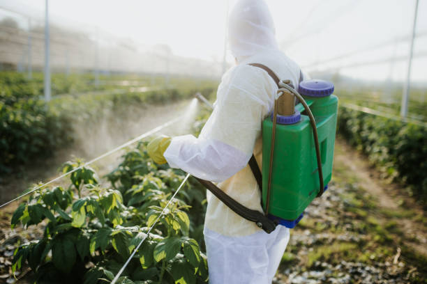 Best Wildlife Control Services  in Tama, IA